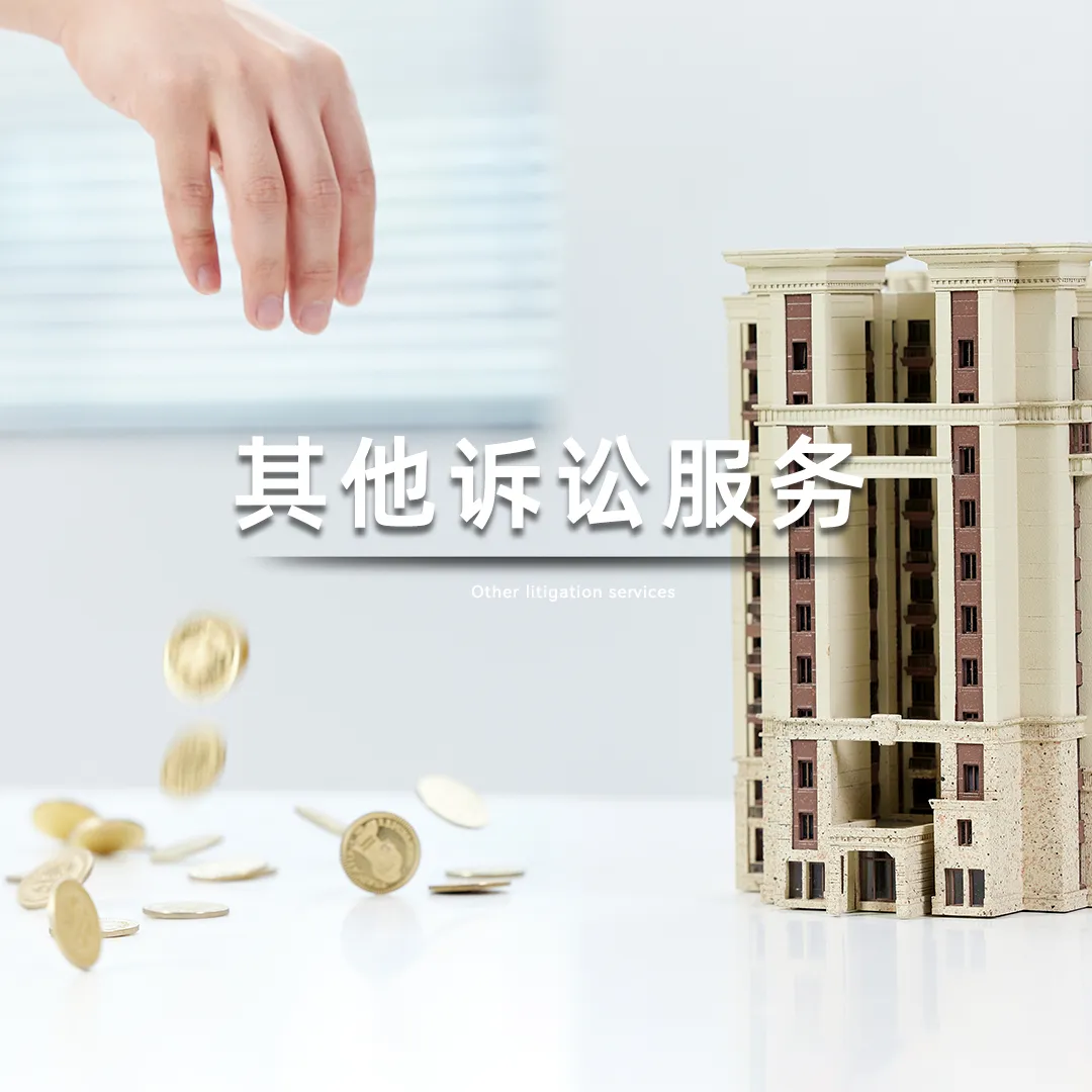 其他诉讼服务